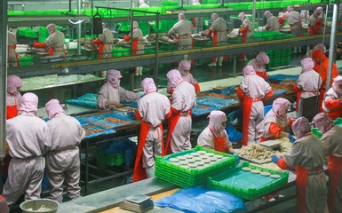 為品質(zhì)發(fā)聲，洛陽正大食品舉辦全省媒體行活動 透明工廠鑄就安心美味