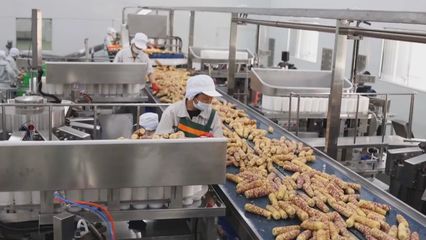 希望的田野 吉林預(yù)制菜產(chǎn)業(yè)駛?cè)氚l(fā)展快車道